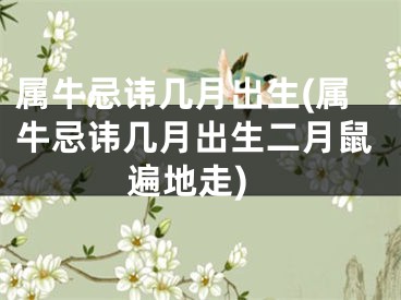 属牛忌讳几月出生(属牛忌讳几月出生二月鼠遍地走)