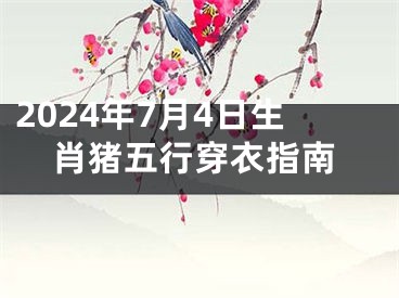 2024年7月4日生肖猪五行穿衣指南