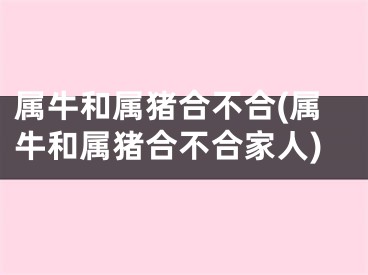 属牛和属猪合不合(属牛和属猪合不合家人)
