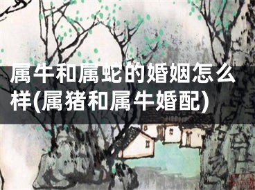 属牛和属蛇的婚姻怎么样(属猪和属牛婚配)