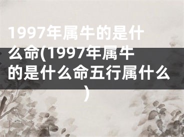 1997年属牛的是什么命(1997年属牛的是什么命五行属什么)