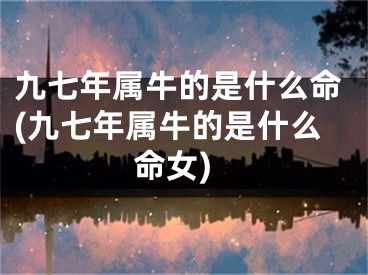 九七年属牛的是什么命(九七年属牛的是什么命女)