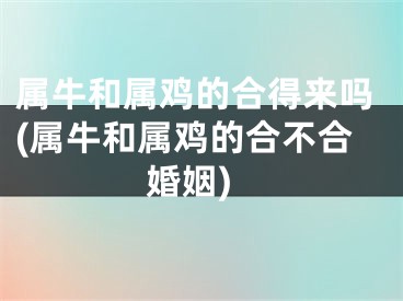 属牛和属鸡的合得来吗(属牛和属鸡的合不合婚姻)