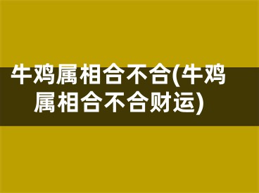 牛鸡属相合不合(牛鸡属相合不合财运)