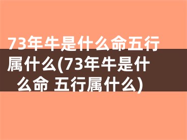 73年牛是什么命五行属什么(73年牛是什么命 五行属什么)