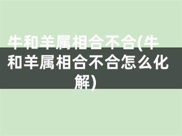 牛和羊属相合不合(牛和羊属相合不合怎么化解)