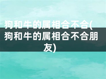 狗和牛的属相合不合(狗和牛的属相合不合朋友)