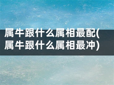 属牛跟什么属相最配(属牛跟什么属相最冲)