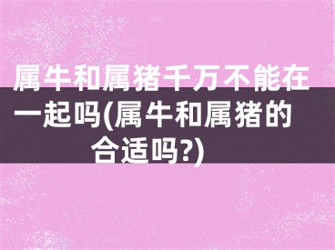 属牛和属猪千万不能在一起吗(属牛和属猪的合适吗?)