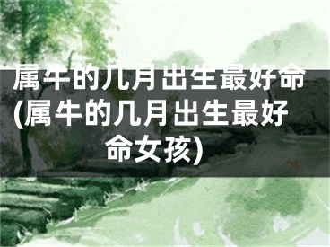 属牛的几月出生最好命(属牛的几月出生最好命女孩)