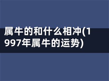 属牛的和什么相冲(1997年属牛的运势)