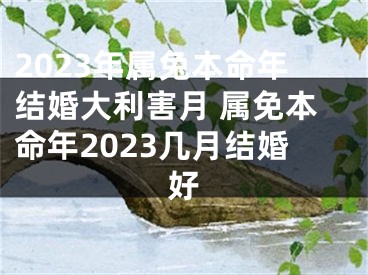2023年属兔本命年结婚大利害月 属免本命年2023几月结婚好