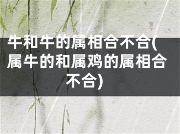 牛和牛的属相合不合(属牛的和属鸡的属相合不合)
