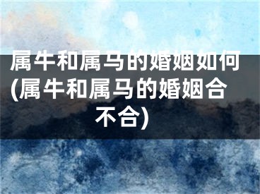 属牛和属马的婚姻如何(属牛和属马的婚姻合不合)