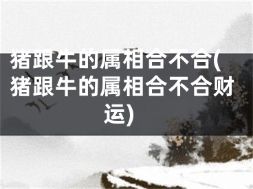 猪跟牛的属相合不合(猪跟牛的属相合不合财运)