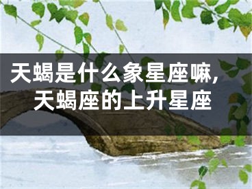 天蝎是什么象星座嘛,天蝎座的上升星座