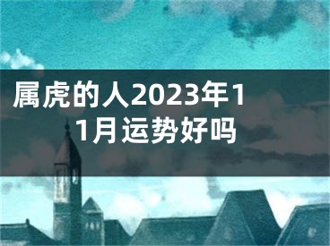 属虎的人2023年11月运势好吗