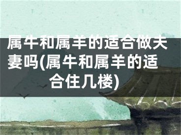 属牛和属羊的适合做夫妻吗(属牛和属羊的适合住几楼)