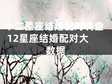 十二星座结婚配对调查 12星座结婚配对大数据