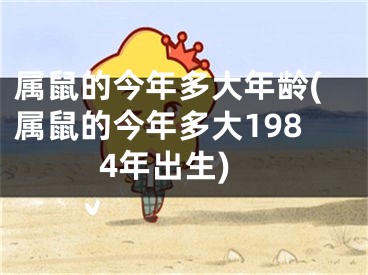 属鼠的今年多大年龄(属鼠的今年多大1984年出生)
